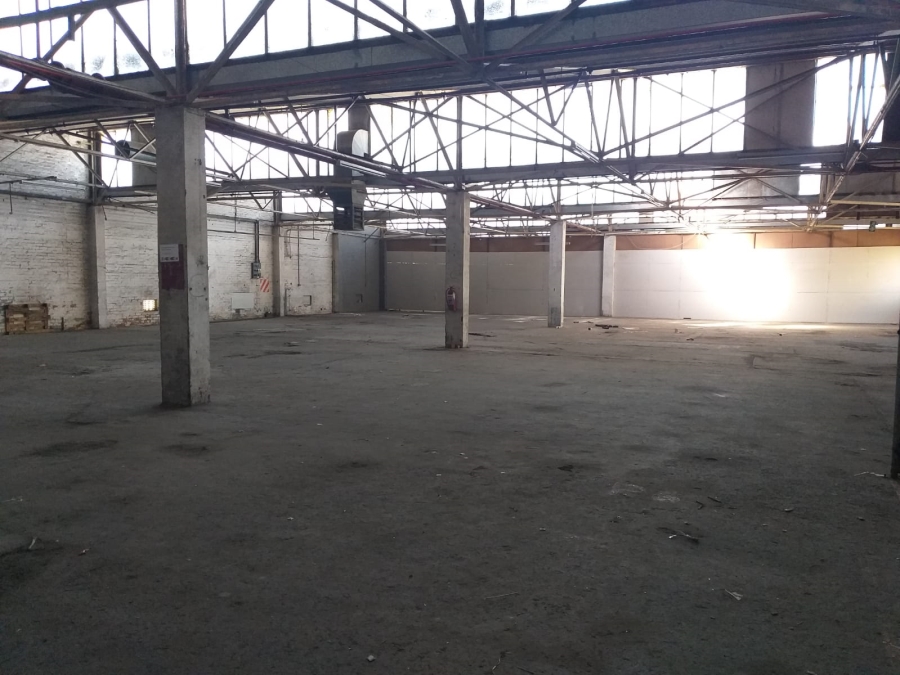 To Let Commercial Property for Rent in Epping Industrial Western Cape